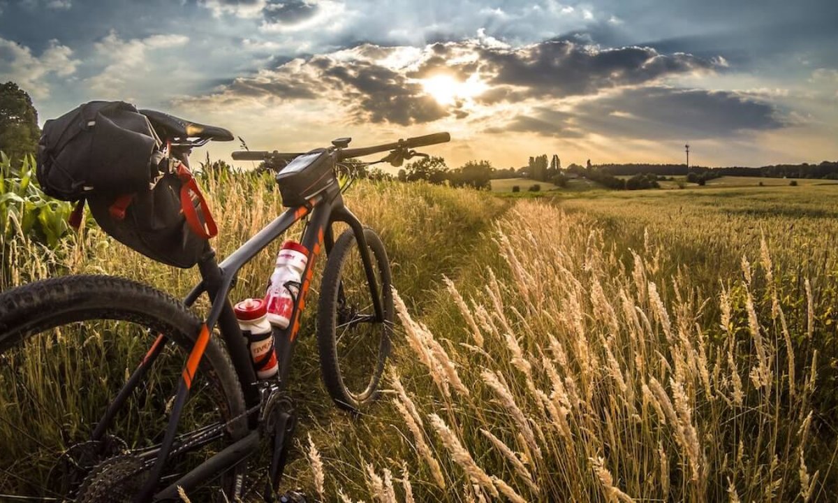 ▷11 Best Beginner Mountain Bikes for Men \u0026 Women in 2022