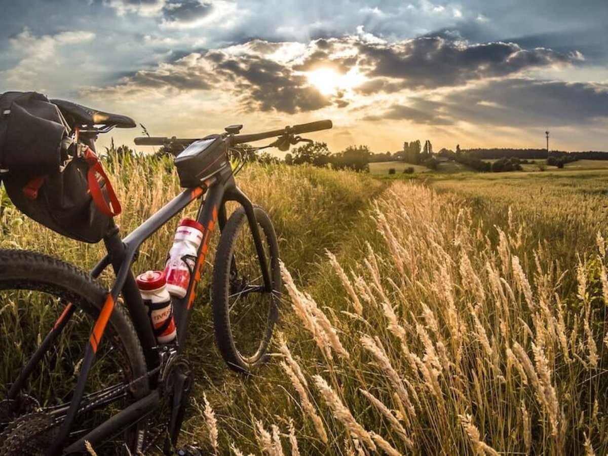 ▷11 Best Beginner Mountain Bikes for 