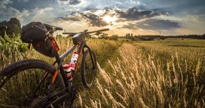 The Best Mountain Bikes for Beginners: A mountain bike with saddle and frame bag in a field when it is partially cloudy