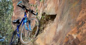 Best Mountain Bikes Under 500: Mountain bike on a forest road with nature in a background