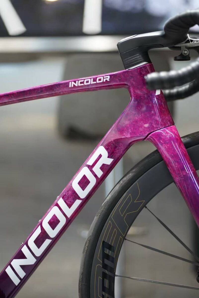 Incolor Speedster - side view head tube.