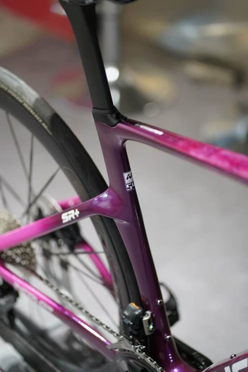 Incolor Speedster - seatstays.
