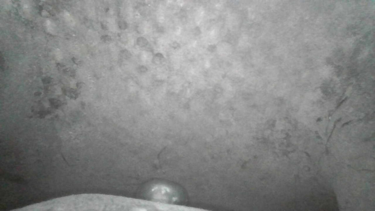 YOELEO G21 Altera from the inside (handlebar).