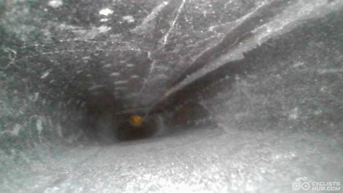 Winspace SLC5 from the inside - seat stays.